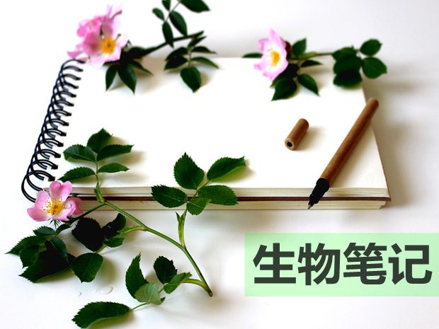 如何整理高中生物復習筆記？