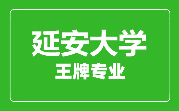 延安大學王牌專業有哪些,延安大學最好的專業是什么