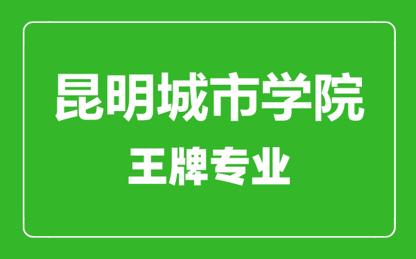 昆明城市學院王牌專業有哪些,昆明城市學院最好的專業是什么