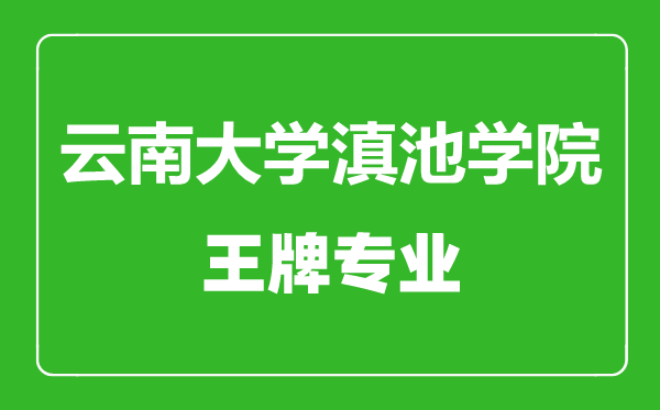 云南大學滇池學院王牌專業有哪些,云南大學滇池學院最好的專業是什么