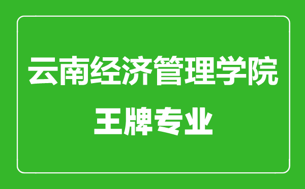 云南經濟管理學院王牌專業有哪些,云南經濟管理學院最好的專業是什么