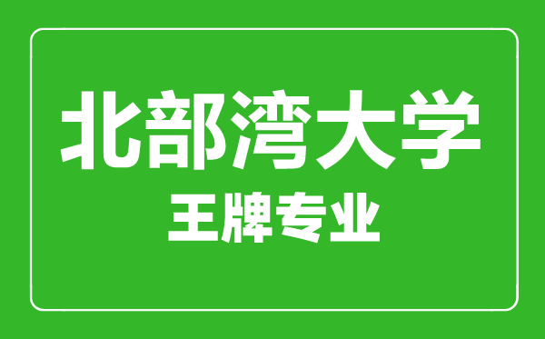 北部灣大學王牌專業有哪些,北部灣大學最好的專業是什么