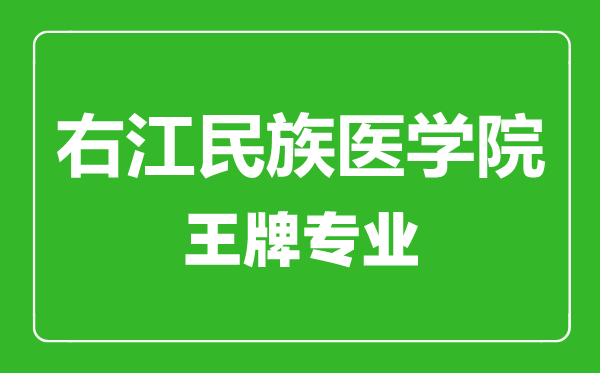 右江民族醫學院王牌專業有哪些,右江民族醫學院最好的專業是什么