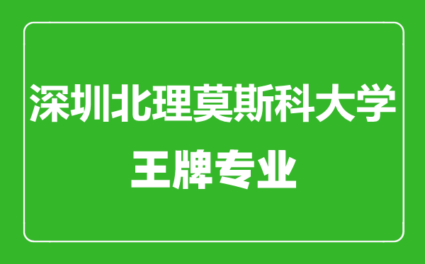 深圳北理莫斯科大學王牌專業有哪些,深圳北理莫斯科大學最好的專業是什么