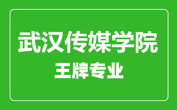 武漢傳媒學院王牌專業有哪些,武漢傳媒學院最好的專業是什么