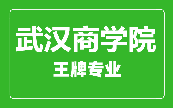 武漢商學院王牌專業有哪些,武漢商學院最好的專業是什么