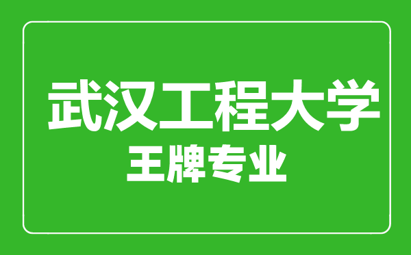 武漢工程大學王牌專業有哪些,武漢工程大學最好的專業是什么