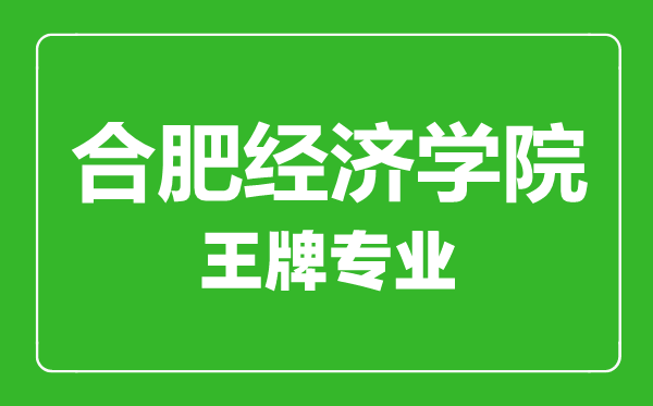 合肥經濟學院王牌專業有哪些,合肥經濟學院最好的專業是什么