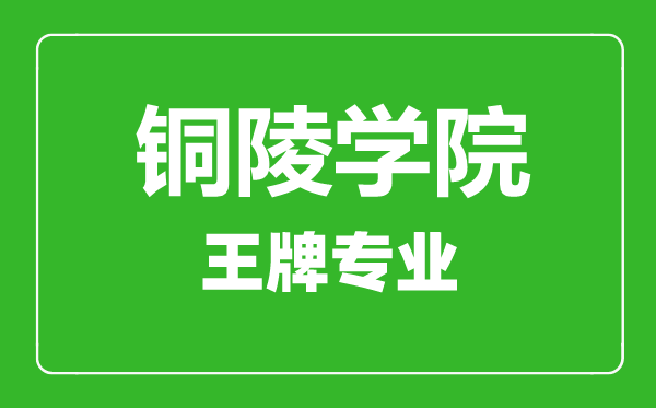 銅陵學院王牌專業有哪些,銅陵學院最好的專業是什么
