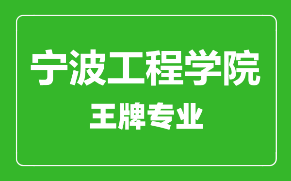 寧波工程學院王牌專業有哪些,寧波工程學院最好的專業是什么
