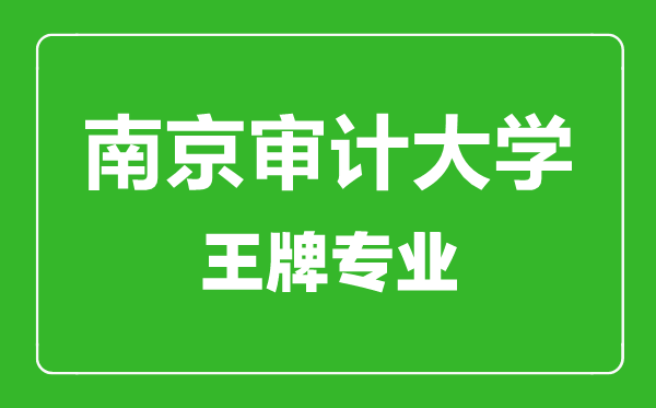 南京審計大學王牌專業有哪些,南京審計大學最好的專業是什么