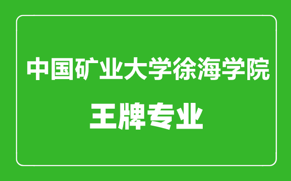 中國礦業大學徐海學院王牌專業有哪些,中國礦業大學徐海學院最好的專業是什么