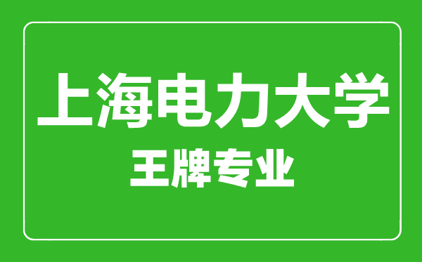 上海電力大學王牌專業有哪些,上海電力大學最好的專業是什么