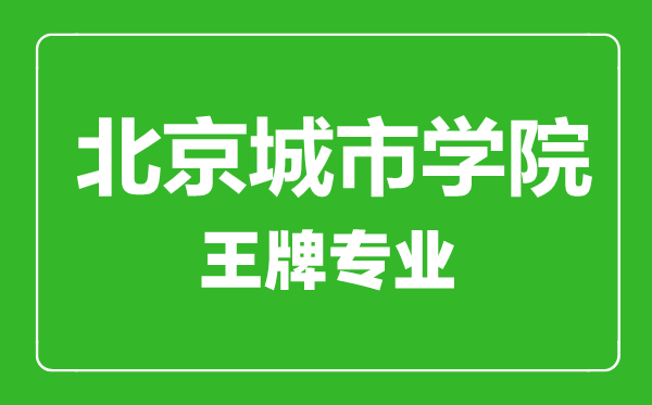 北京城市學院王牌專業有哪些,北京城市學院最好的專業是什么