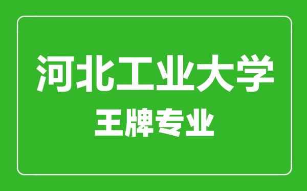 河北工業大學王牌專業有哪些,河北工業大學最好的專業是什么