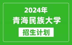 2024年青海民族大學藝考招生計劃_藝術類各專業招生人數