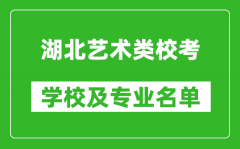 湖北藝術類專業校考學校及專業名單