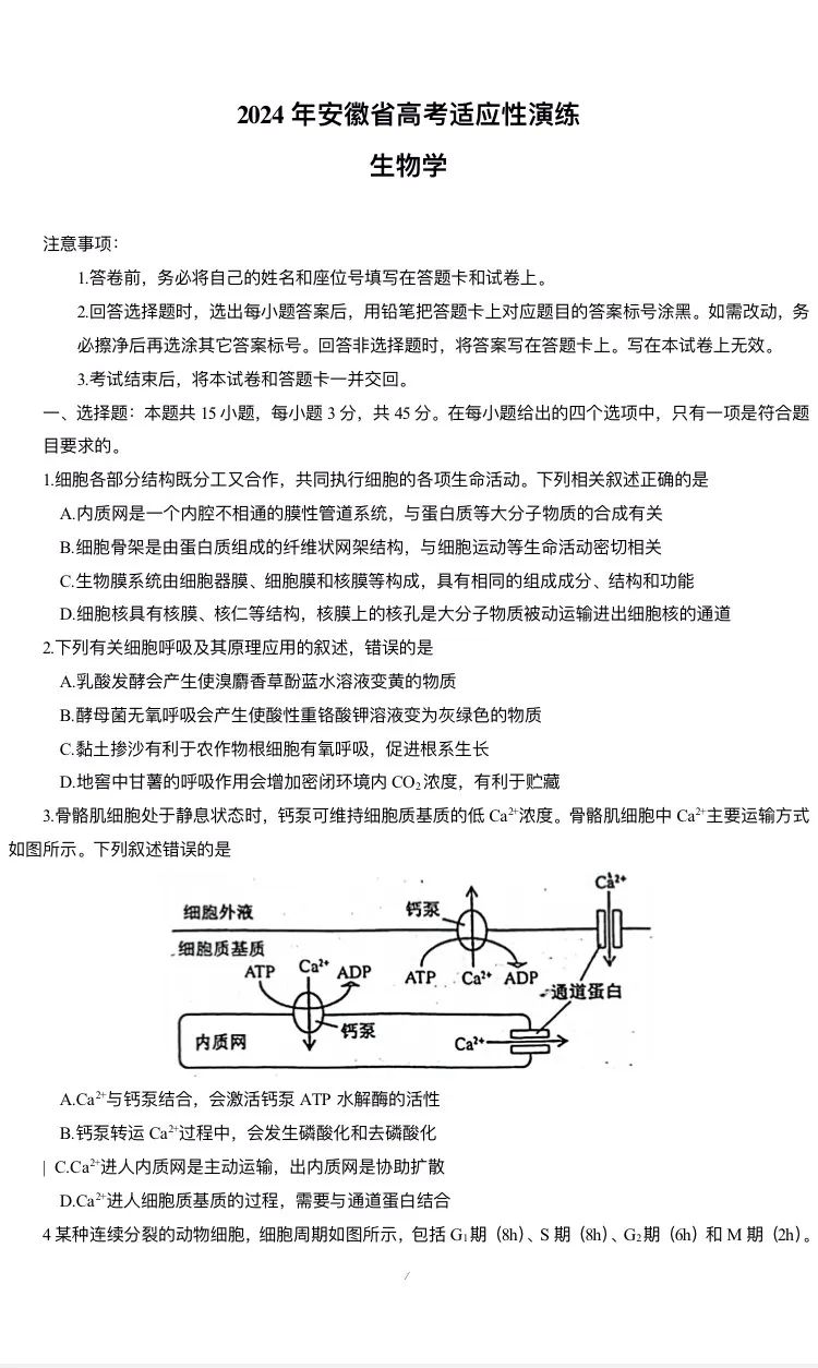 新高考2024七省聯考生物試卷及答案解析