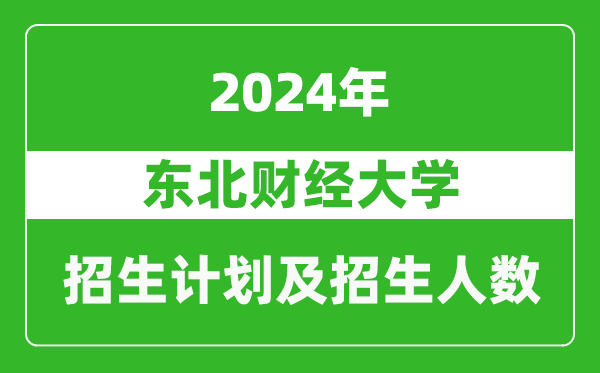 東北財經大學2024年在河南的招生計劃和招生人數