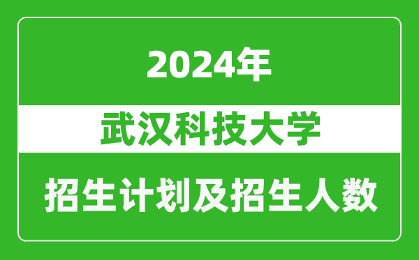 武漢科技大學2024年在河南的招生計劃和招生人數