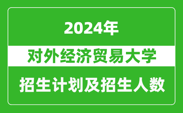 對外經濟貿易大學2024年在寧夏的招生計劃及招生人數