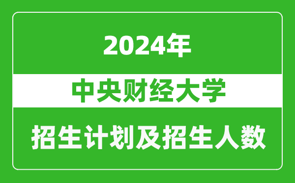 中央財經大學2024年在寧夏的招生計劃及招生人數