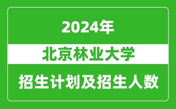 北京林業大學2024年在寧夏的招生計劃及招生人數