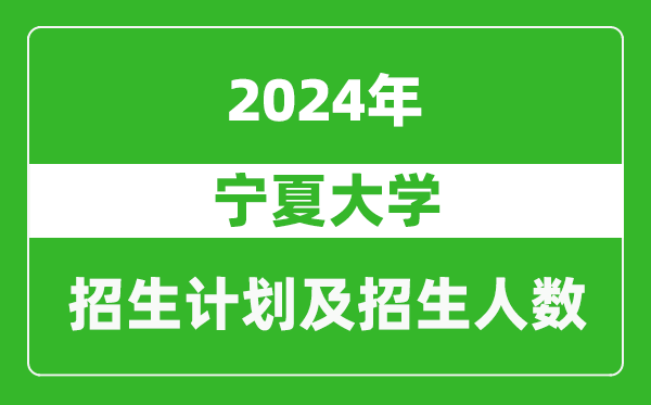 寧夏大學2024年在河北的招生計劃及招生人數