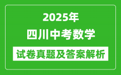 2025年四川中考數(shù)學試卷真題及答案解析(考后更新)